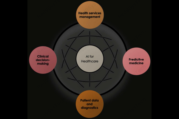 Artificial Intelligence in Healthcare Opportunities and Challenges in 2025 (3)
